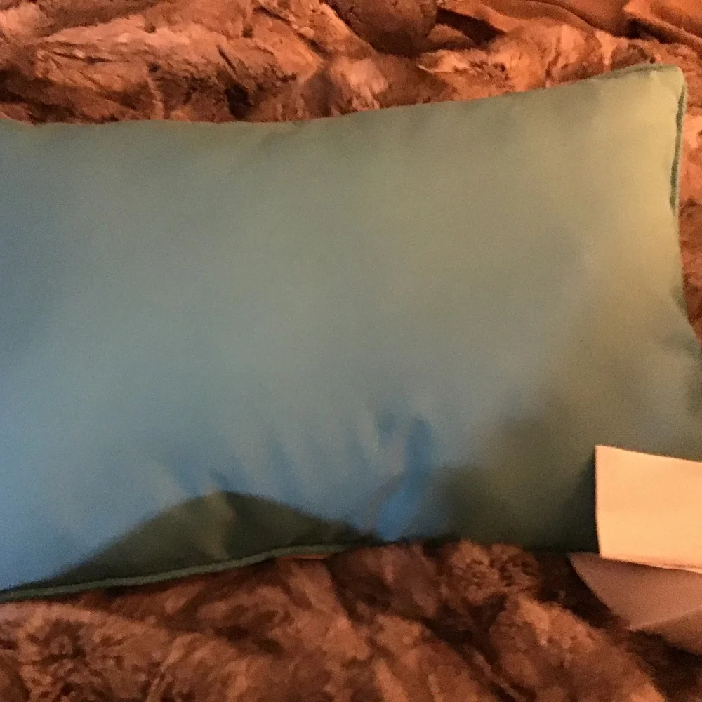 NWOT Outdoor Retangle Pillow with a Beachball theme Design